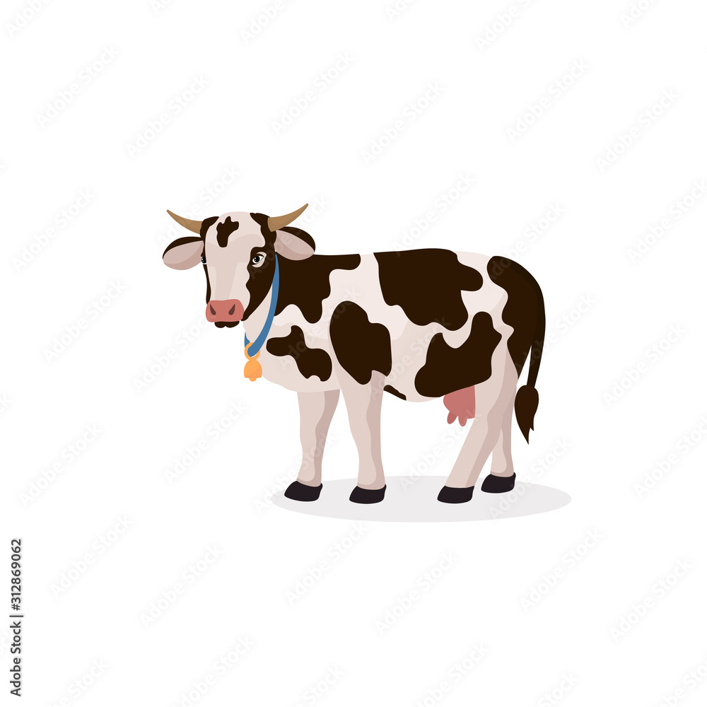 Illustration of a cute cow with a bell. Vector isolated farm animal in cartoon style for your design. Illustration for cards, banner. Illustration of a cute cow with a bell. Vector isolated farm animal in cartoon style for your design. Illustration for cards, banner.