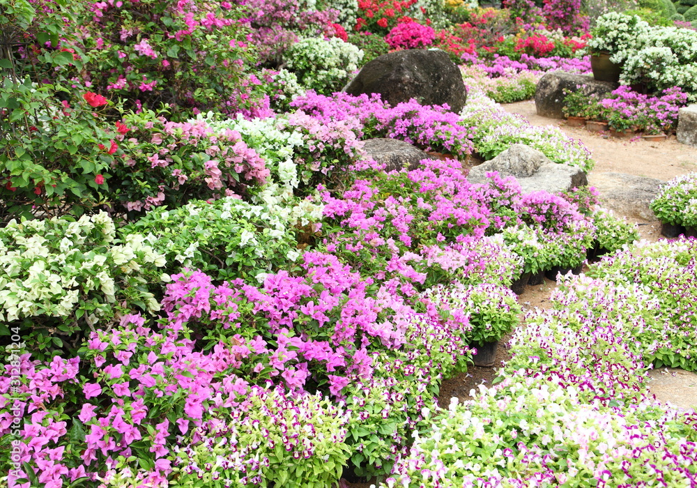 Landscaped flower garden with lots of colorful blooms 