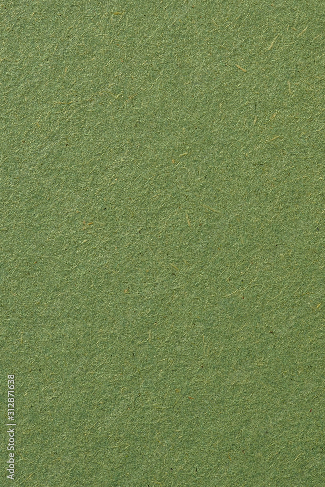 The surface of a sheet of green cardboard. Calm relaxing backdrop or wallpaper. Rough natural paper texture with cellulose fibers. View from above. Vertical shot. Close-up The surface of a sheet of green cardboard. Calm relaxing backdrop or wallpaper. Rough natural paper texture with cellulose fibers. View from above. Vertical shot. Close-up