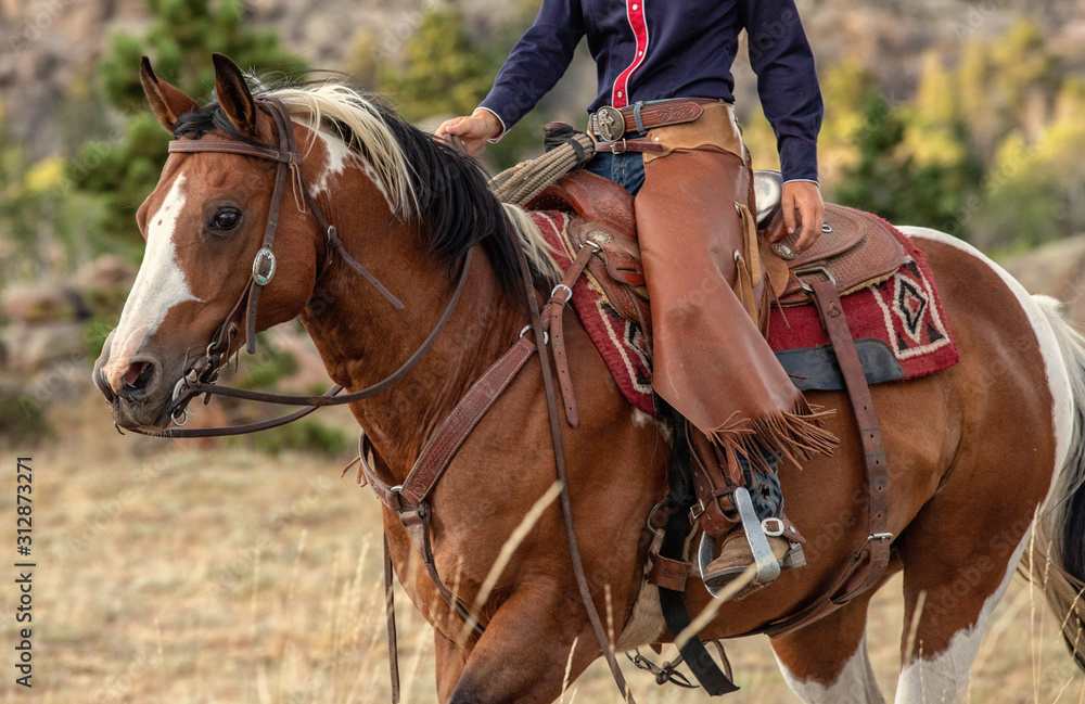 Cowgirl on Paint Horse Cowgirl on Paint Horse