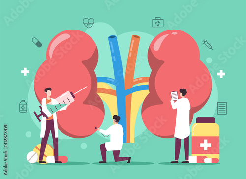 Kidney disease treatment with medicine and people illustration