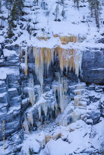 Finland Lapland Rovaniemi Winter Wilderness