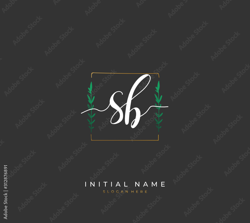Handwritten letter S B SB for identity and logo. Vector logo template with handwriting and signature style. Handwritten letter S B SB for identity and logo. Vector logo template with handwriting and signature style.