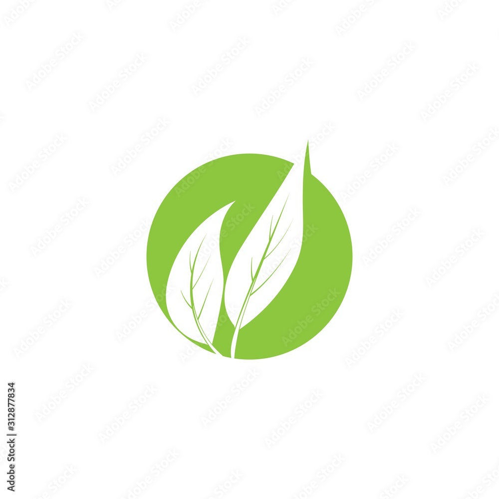 Vegan icon Vector Illustration design Logo Vegan icon Vector Illustration design Logo
