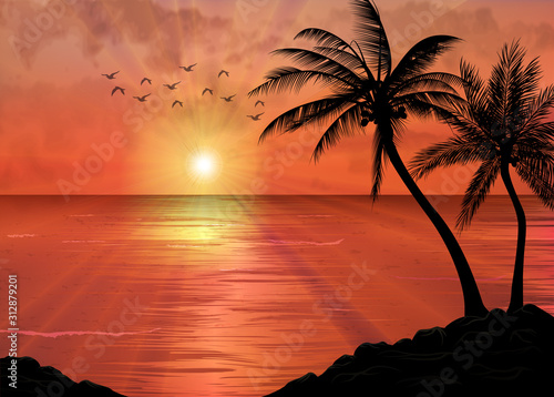 A Tropical Sunset or Sunrise with Palm Trees