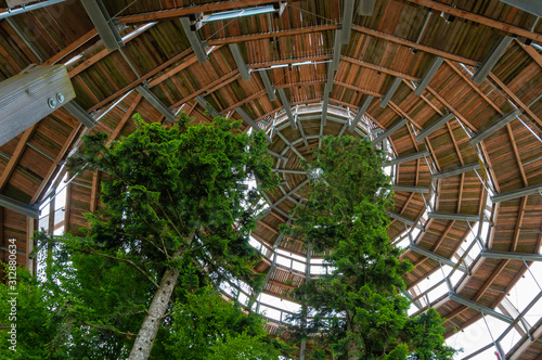 Treetop Walk in Bavarian forest underneath the dome