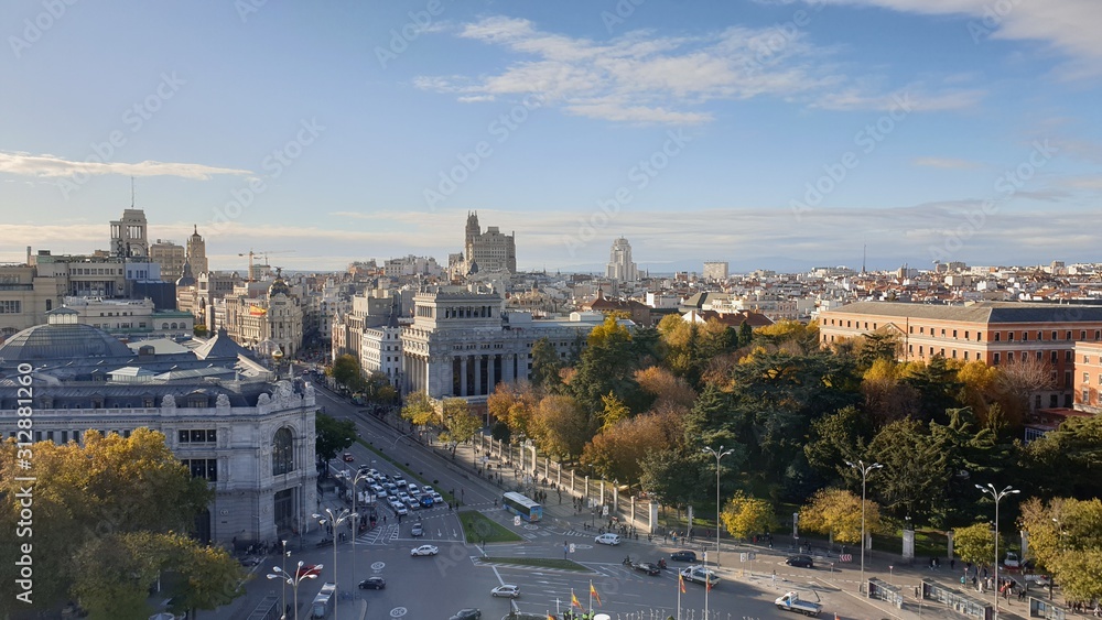 Panoramic view of the city and flora