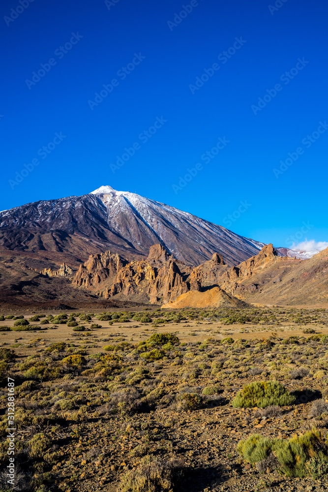 Spain, Tenerife, Dry caldera desert nature landscape with some green plants at world famous volcano teide, peak covered by white snow in winter
