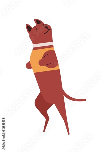 Dog with missing legs flat vector illustration