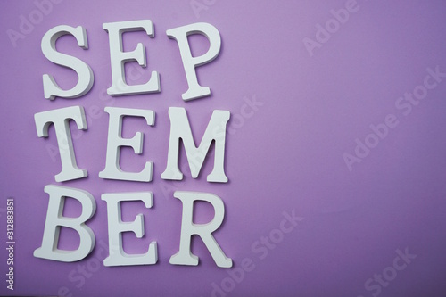 September alphabet letter with space copy on Purple background