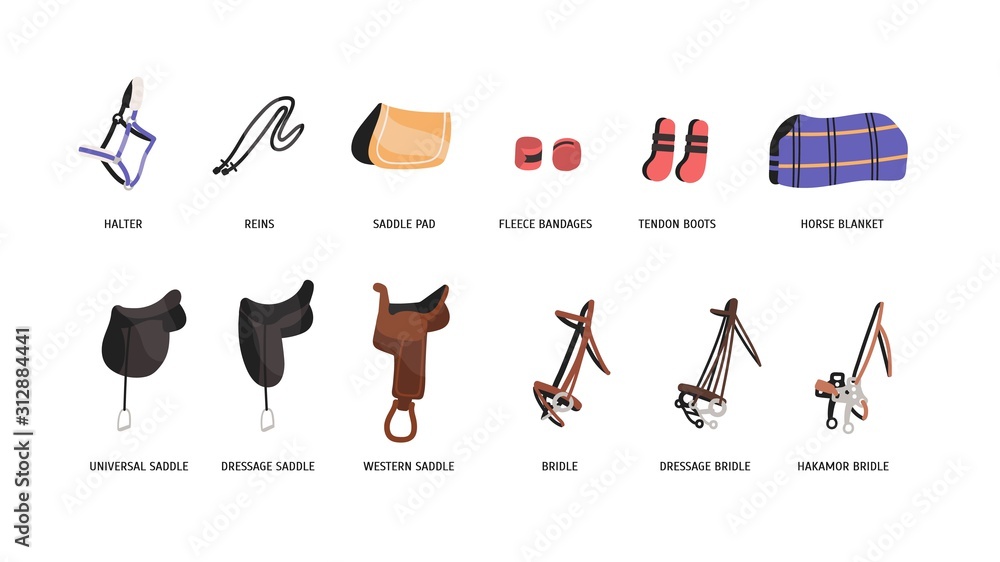 Jeg bærer tøj Skyldig plan Horse riding outfitting flat vector illustrations set. Saddles, bridles and  accessories. Equestrian sport attributes. Horseback riding convenience and  safety facilities isolated on white background. Stock Vector | Adobe Stock