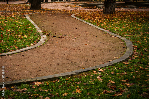 Pathway in the autumn park