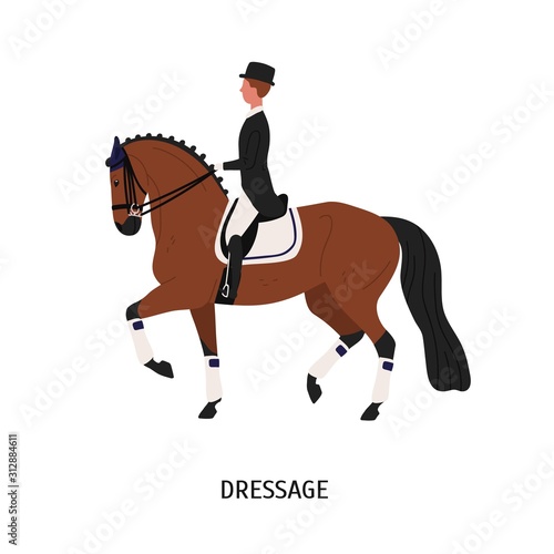Dressage, horse riding flat vector illustration