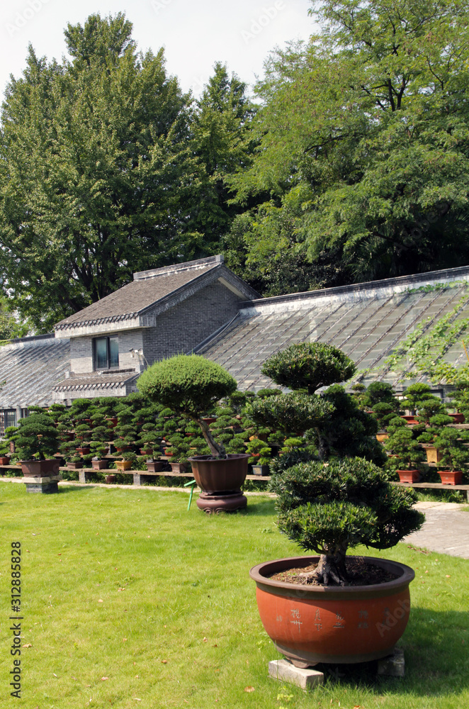 Naklejka premium Chinese traditional southern garden courtyard landscape