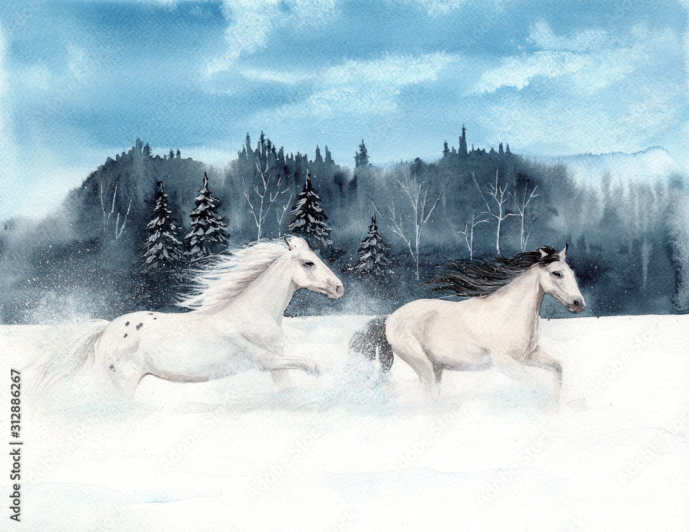 Watercolor picture of two white horses running on a snowy field with a  distant forest on the background Stock Illustration | Adobe Stock