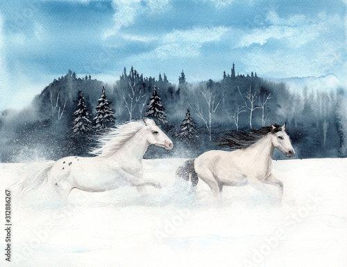 Watercolor picture of two white horses running on a snowy field with a  distant forest on the background Stock Illustration | Adobe Stock