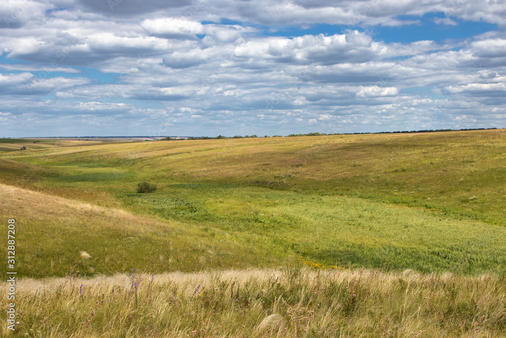Steppe valley landscape in summer in the Middle Volga region, Russia