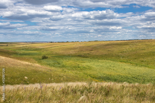 Steppe valley landscape in summer in the Middle Volga region  Russia