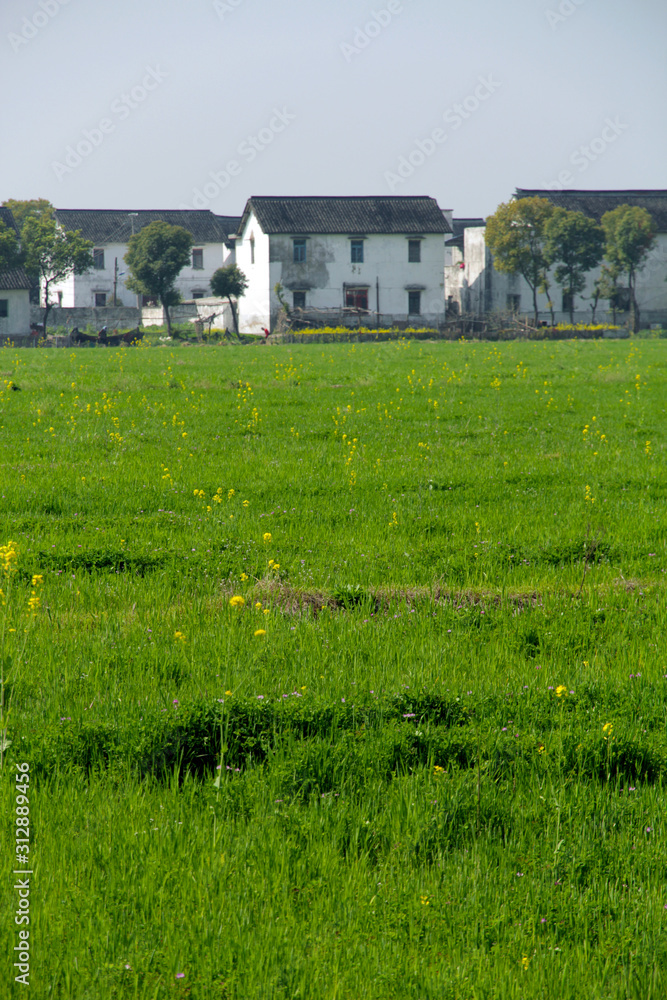 Spring farmland scenery in Chinese countryside Spring farmland scenery in Chinese countryside