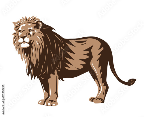 wild lion standing isolated vector illustration