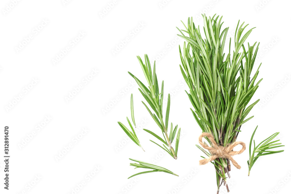 rosemary leaves isolated on white background. rosemary bunch. top view