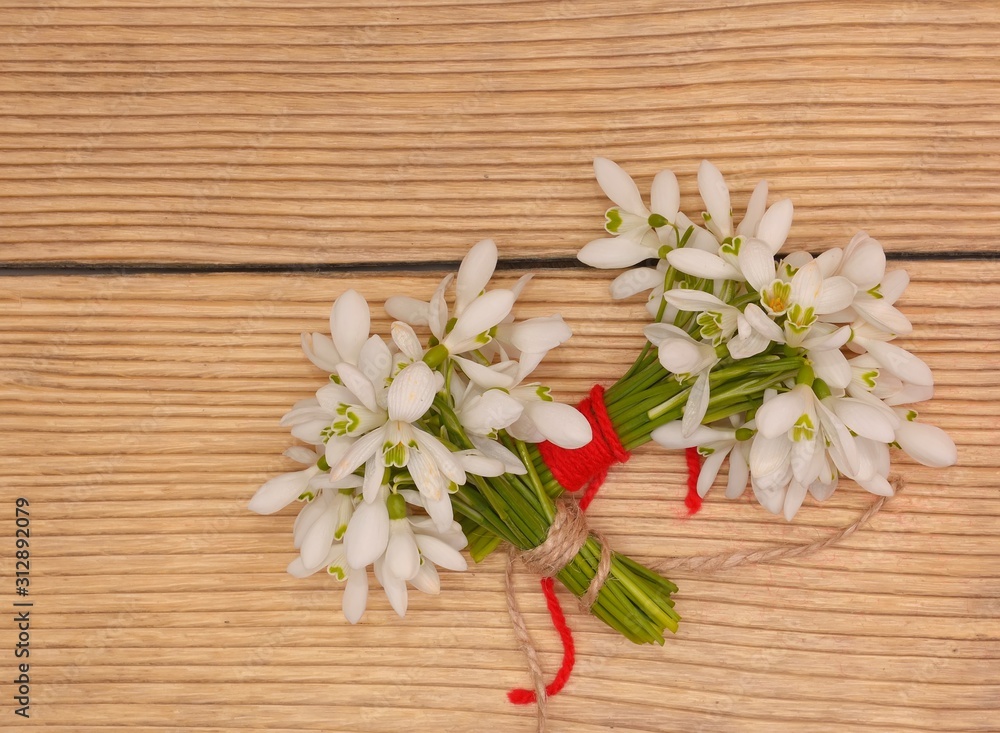 Snowdrops isolated on wooden background Snowdrops isolated on wooden background