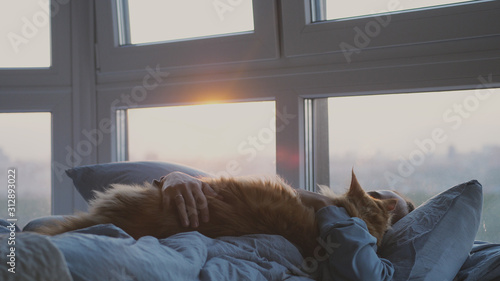 Beautiful romantic brunette woman lying on bed sleeping with maine coon cat by the window © emaria