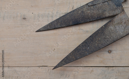 old hedge shears on wooden background