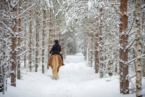 Woman horseback riding in winter forest