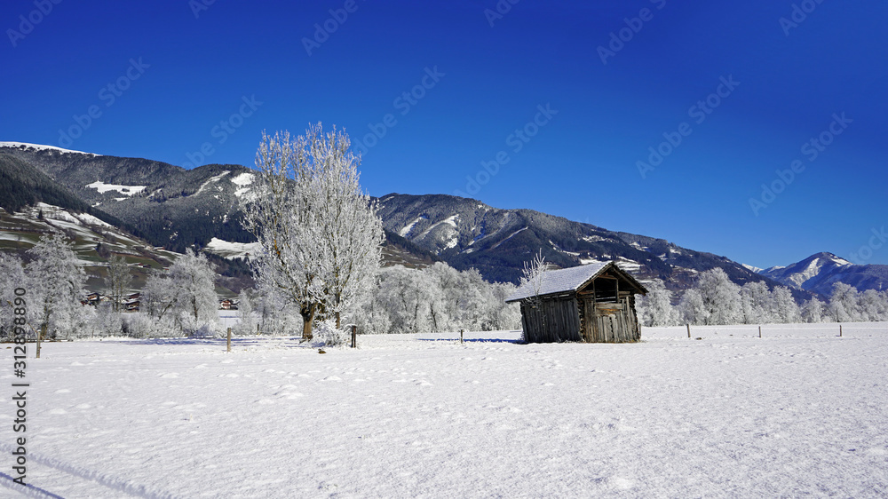 a wood hut on a agriculture field in winter with fresh snow and a blue clear sky with view to the mountains