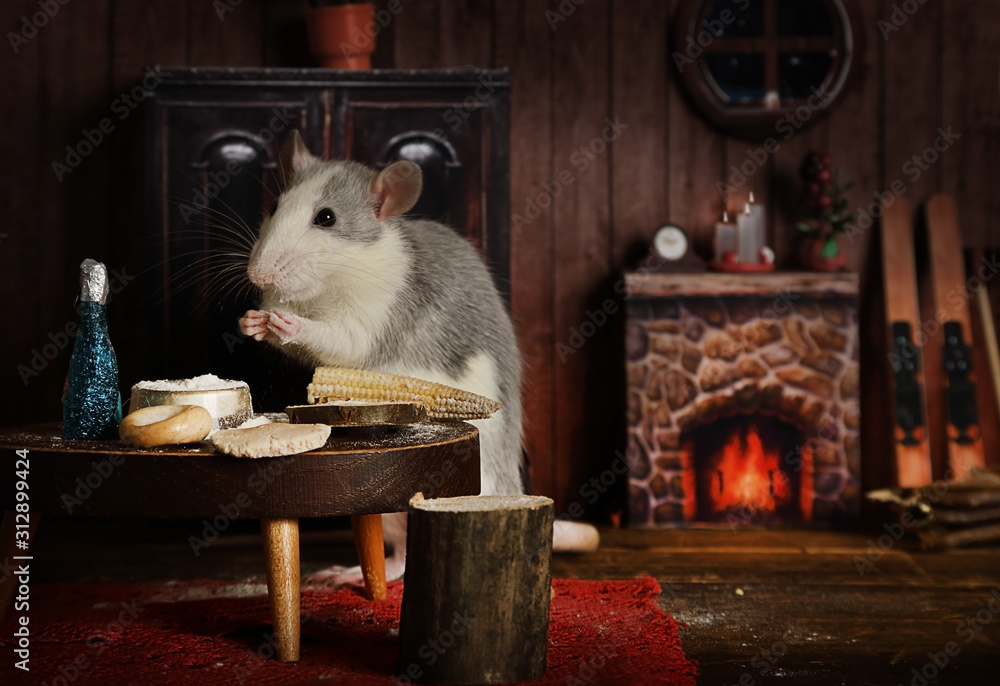 Obraz premium Cute little rat is having dinner at the table