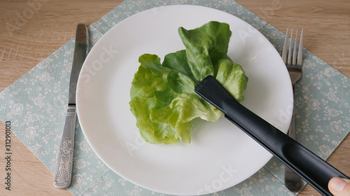 Diet. Serving single leaf of salad on a plate photo