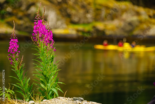 Fjord shore and people kayaking photo