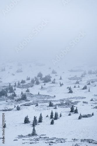 trees in winter. frozen trees. moody hill. winter in czech krkonose mountains. snezka. obri dul. fog. foggy landscape