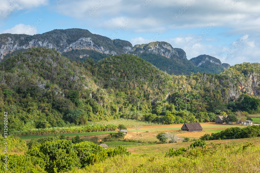 Vinales Valley. Typical view of Valle de Vinales with farm and mogotes. Pinar del Rio Province, Cuba.