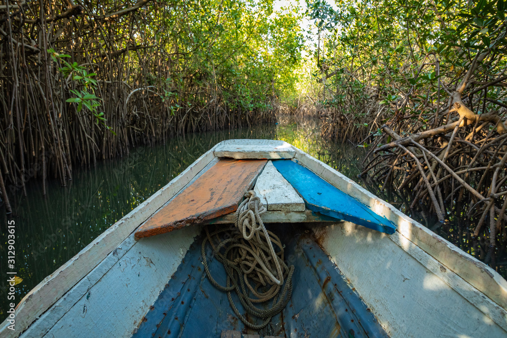 Gambia Mangroves. Traditional long boat. Green mangrove trees in forest. Gambia. Gambia Mangroves. Traditional long boat. Green mangrove trees in forest. Gambia.