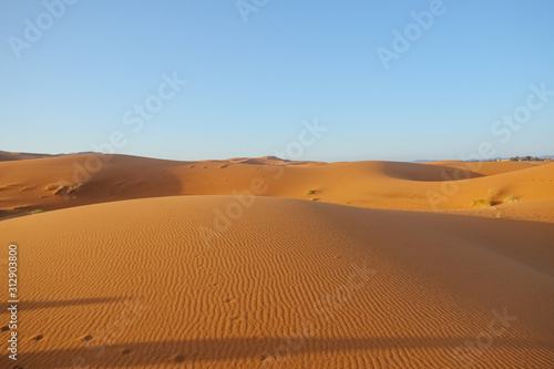 Erg Chebbi sand dunes against clear blue sky background in Sahara desert. Merzouga, Morocco.