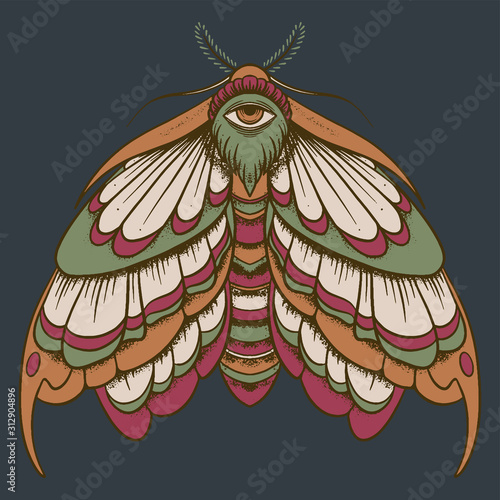 Eyed hawk-moth colored illustration, drawing, engraving, ink, line art, vector