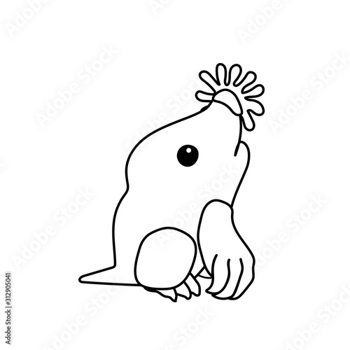 vector line cartoon animal clip art
