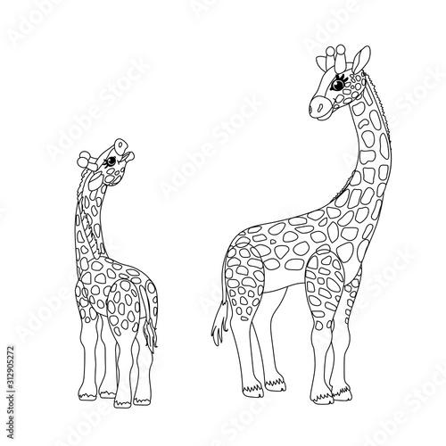 Canvas Print vector line cartoon animal clip art