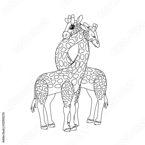 Photography vector line cartoon animal clip art