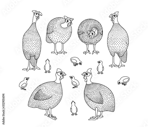 vector line cartoon animal clip art