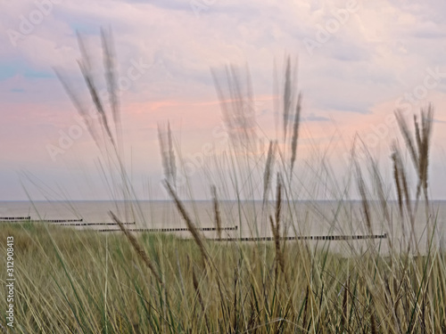 Bewegtes Dünengras mit der Ostsee im Hintergrund, Mecklenburg-Vorpommern, Deutschland