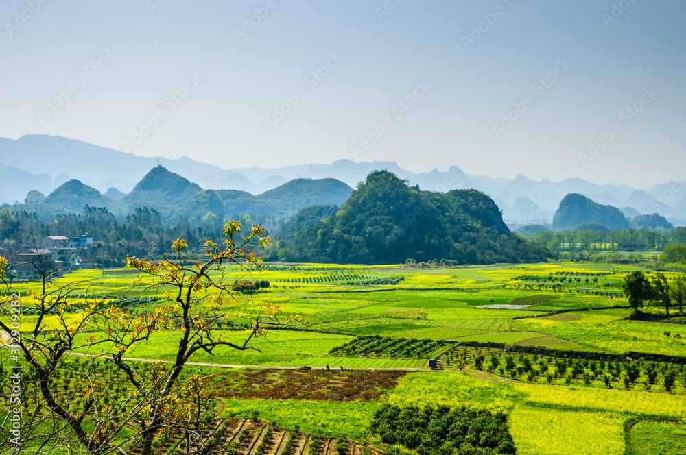 The landscape with rice fields and mountains