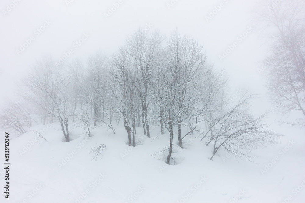 Foggy day in Caucasus highlands. Winter in Rosa Khutor.