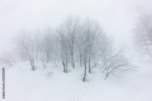 Foggy day in Caucasus highlands. Winter in Rosa Khutor.