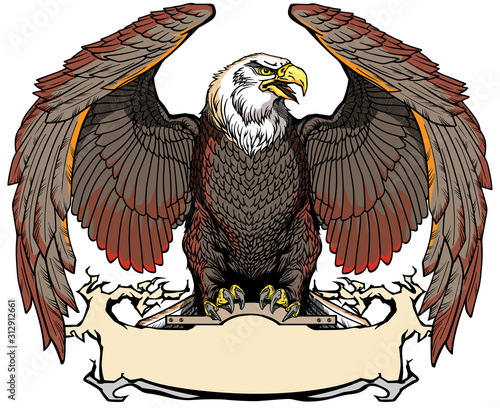 Eagle with opened its wings sitting on the blank ribbon. Front view. Isolated vector illustration