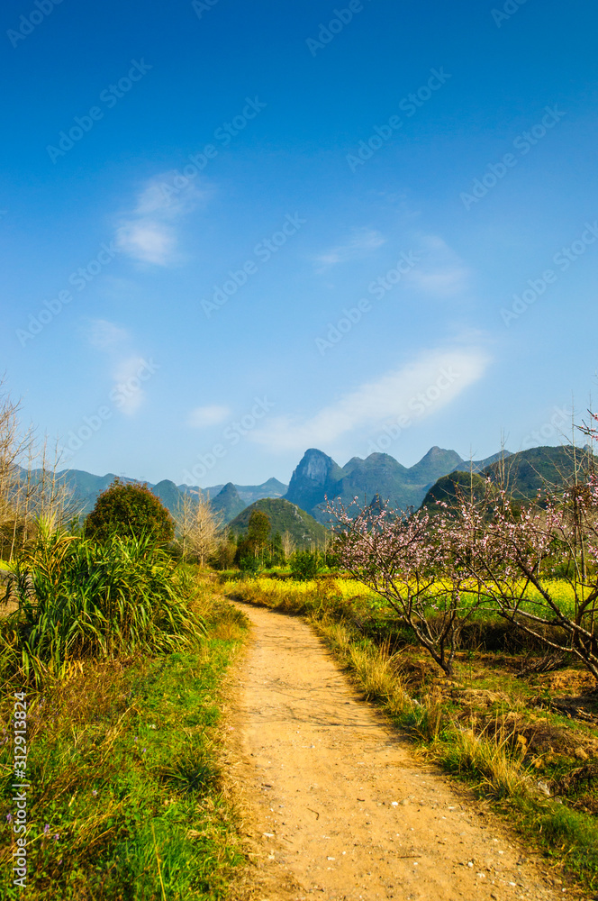 The road in the countryside with mountains 