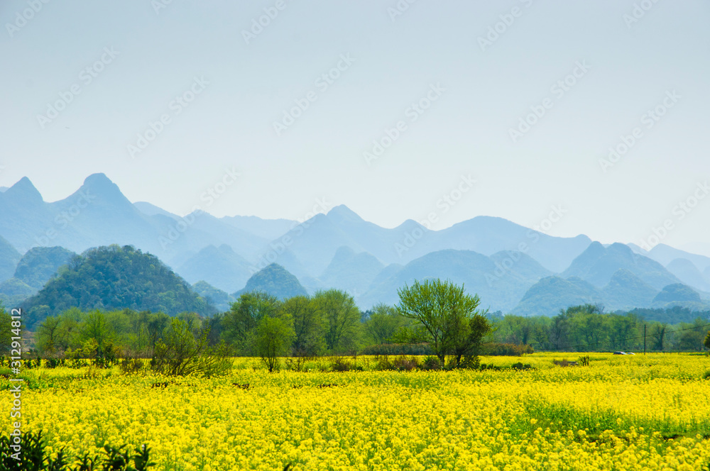 Countryside scenery in spring season Countryside scenery in spring season