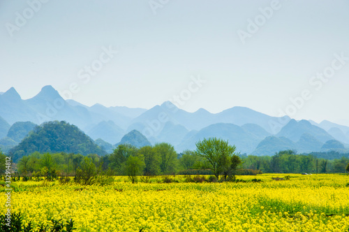 Countryside scenery in spring season